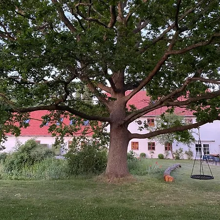 Maglehoj Strandgaard Villa Dannemare